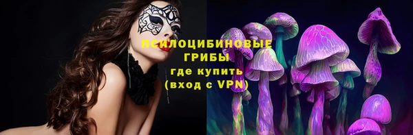 мяу мяу мука Алексин