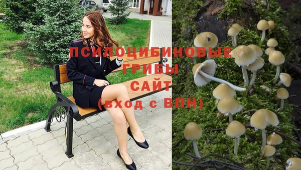 мяу мяу мука Алексин