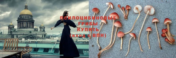 крисы Алексеевка