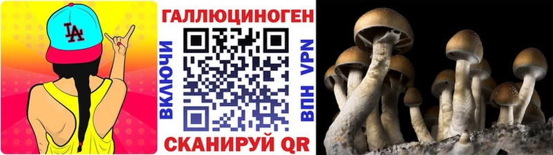 Галлюциногенные грибы мухоморы  Далматово 