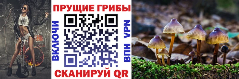 Галлюциногенные грибы GOLDEN TEACHER Далматово